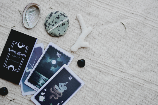Tarot of the Moon: Can Moon Phases Affect Your Tarot Reading?