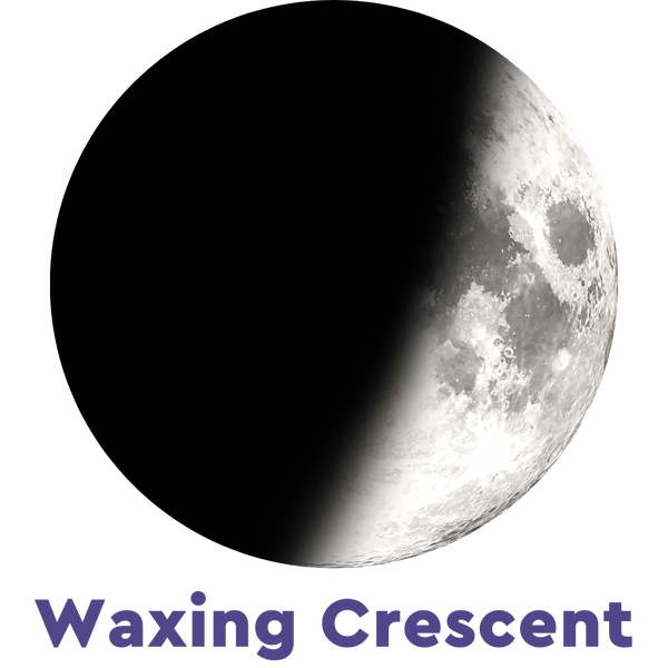 Baby moon cycle online sales