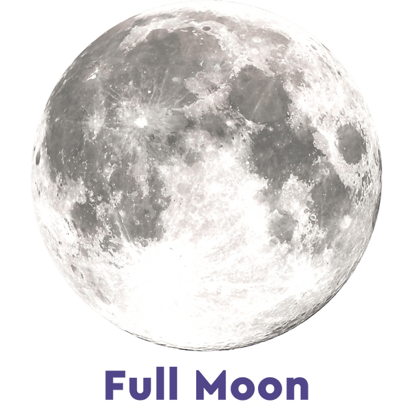 Your birth hot sale moon jewelry