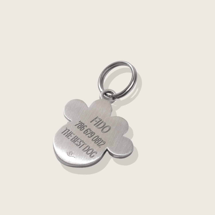 Engravable back on  Moonglow Pet Tag in Stainless Steel