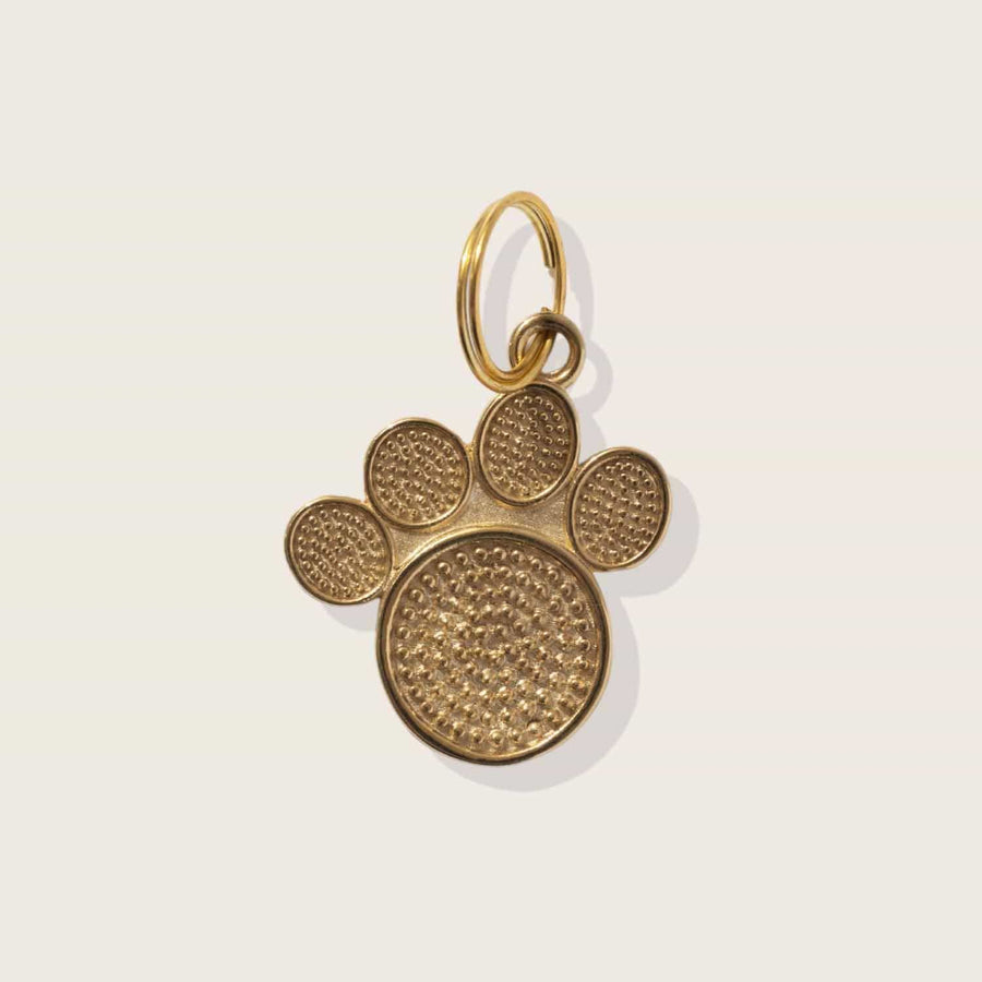 Moonglow Pet Tag in Gold