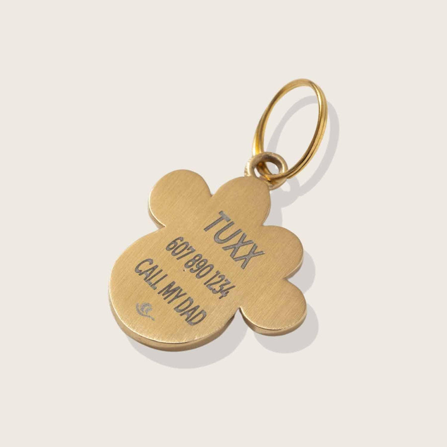 Engravable back on Moonglow Pet Tag in Gold