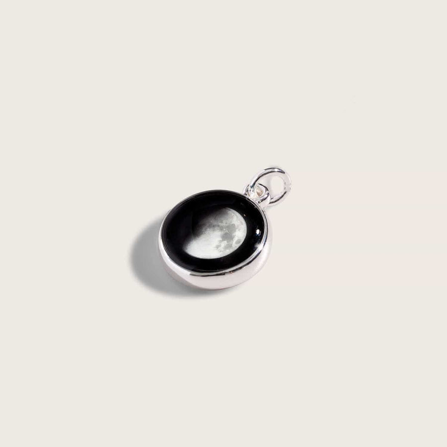 Silver Charm